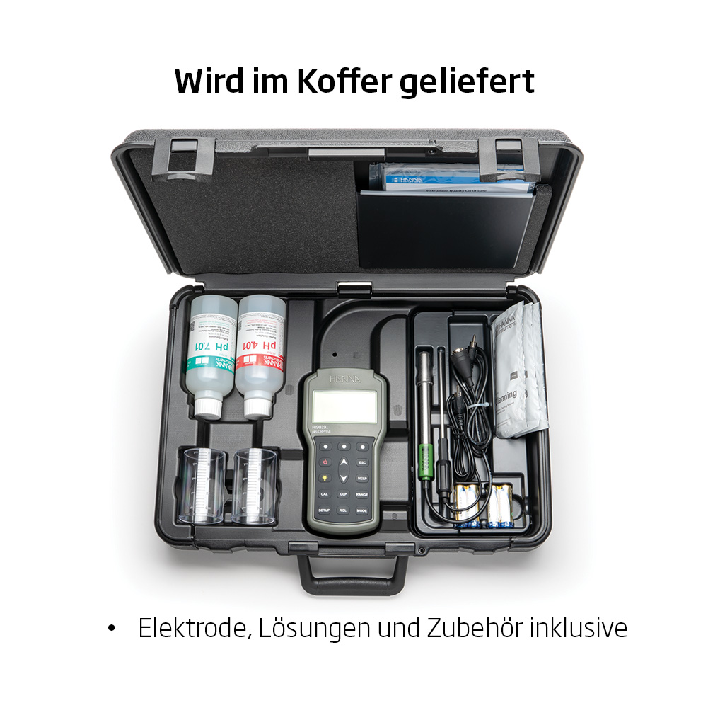 Professionelles Handmessgerät für pH, Redoxpotential und ISE