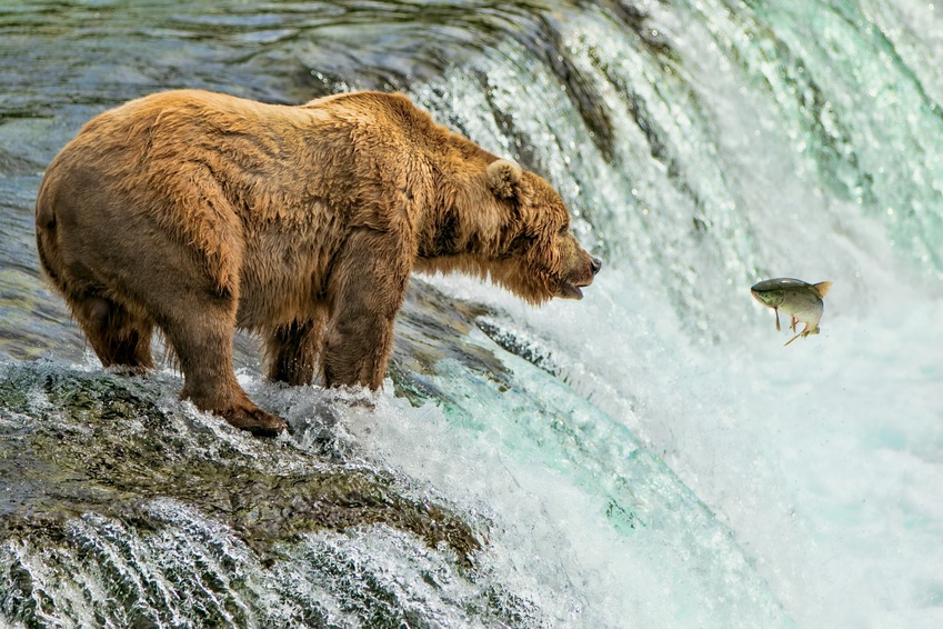 Bedarfsgerechte Umweltanalytik dank moderner Photometer
