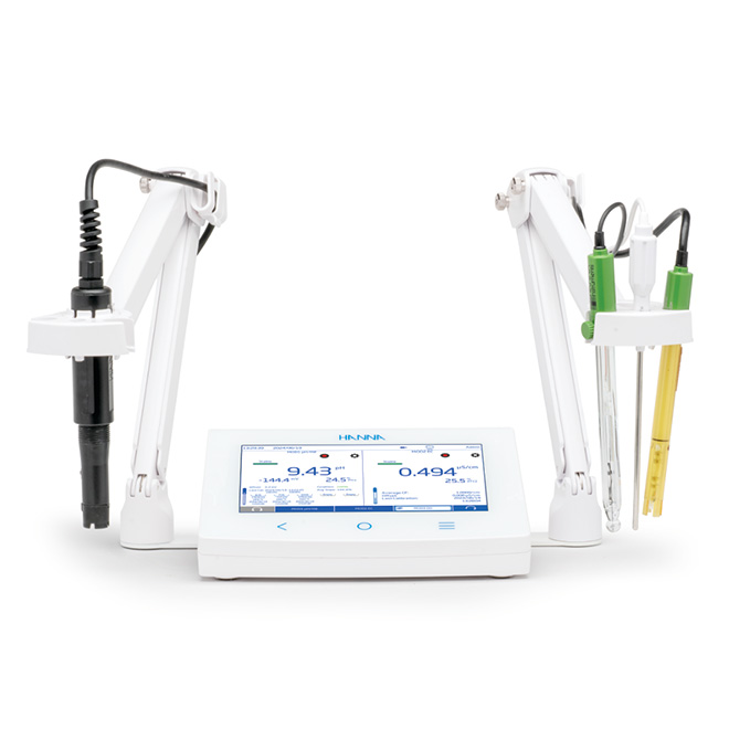 HI6222-02: HI6000-Kit mit 2 pH/ORP/ISE-Modulen